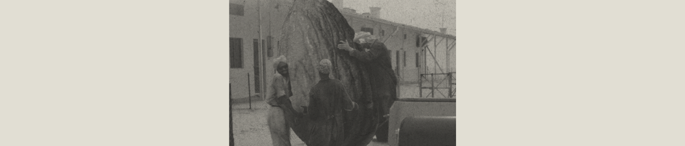 giant almond being carried by a group of men