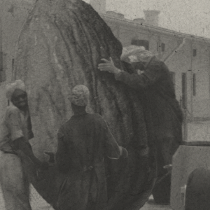 giant almond being carried by a group of men