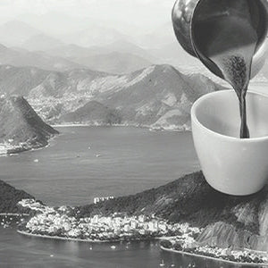 brazil coffee on an island 
