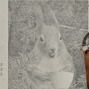 double mocha frappe with a squirrel