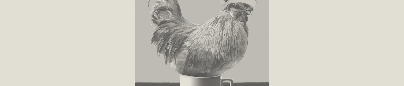 chicken in coffee cup with santa hat