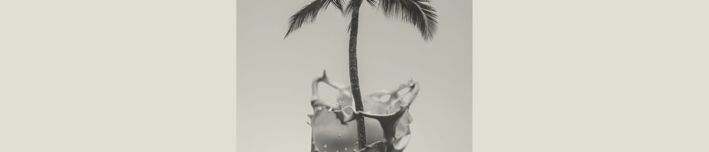 palm tree coming out of latte