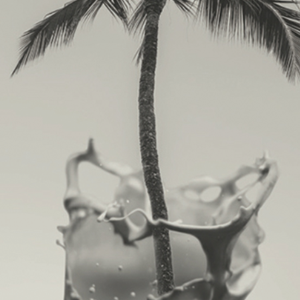 palm tree coming out of latte