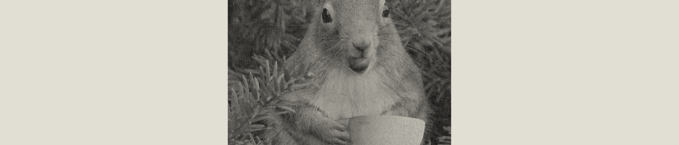 squirrel with a hazelnut and coffee cup
