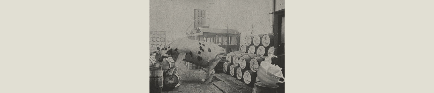 irish cream flavored coffee label image