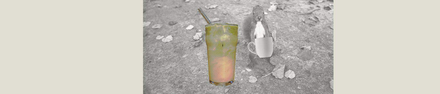 matcha pumpkin iced latte with a fall squirrel