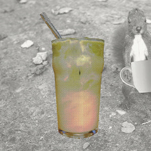 matcha pumpkin iced latte with a fall squirrel