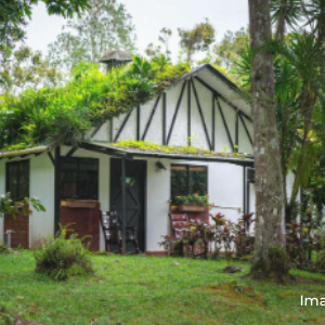 Nicaragua Selva Negra coffee farm