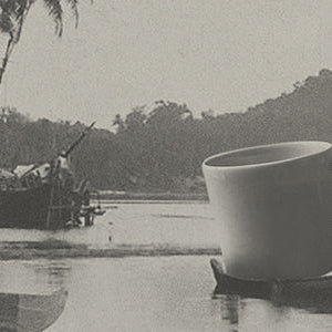 organic sumatra coffee floating on the river