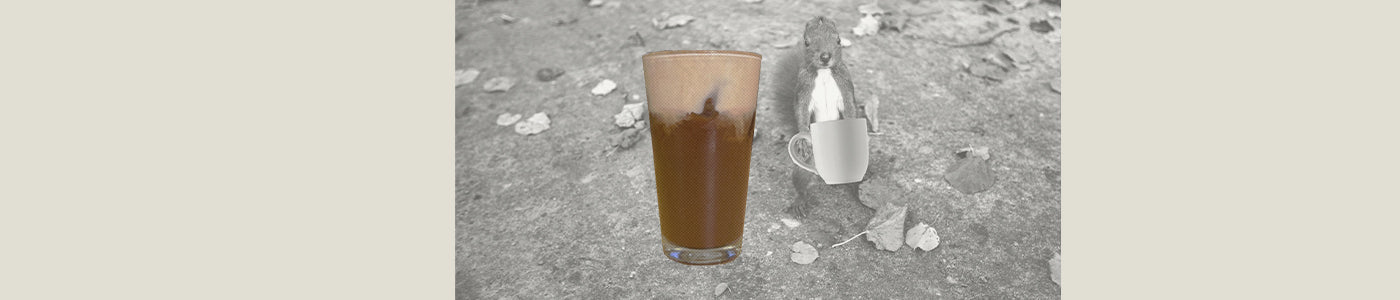 pumpkin chess pie cold brew over a fall squirrel