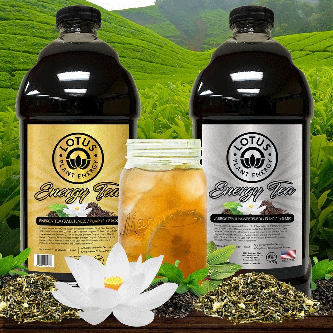 Lotus Energy Tea Concentrates - Dilworth Coffee
