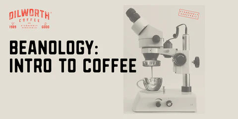 BEANOLOGY: INTRO TO COFFEE