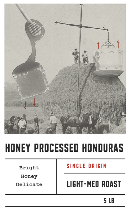 Dilworth Coffee Organic Honey Processed Honduras 5lb Bulk Bag