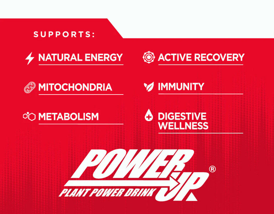 Lotus Energy Power Up Zero Sugar Energy Concentrates 6 - 64oz Bottles (CASE)